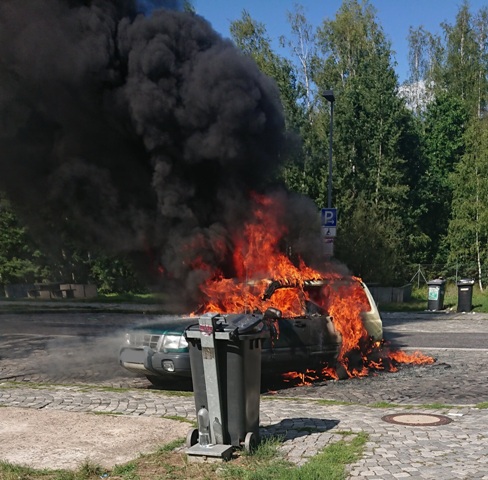 DSC_0147 zugeschnitten groß.jpg